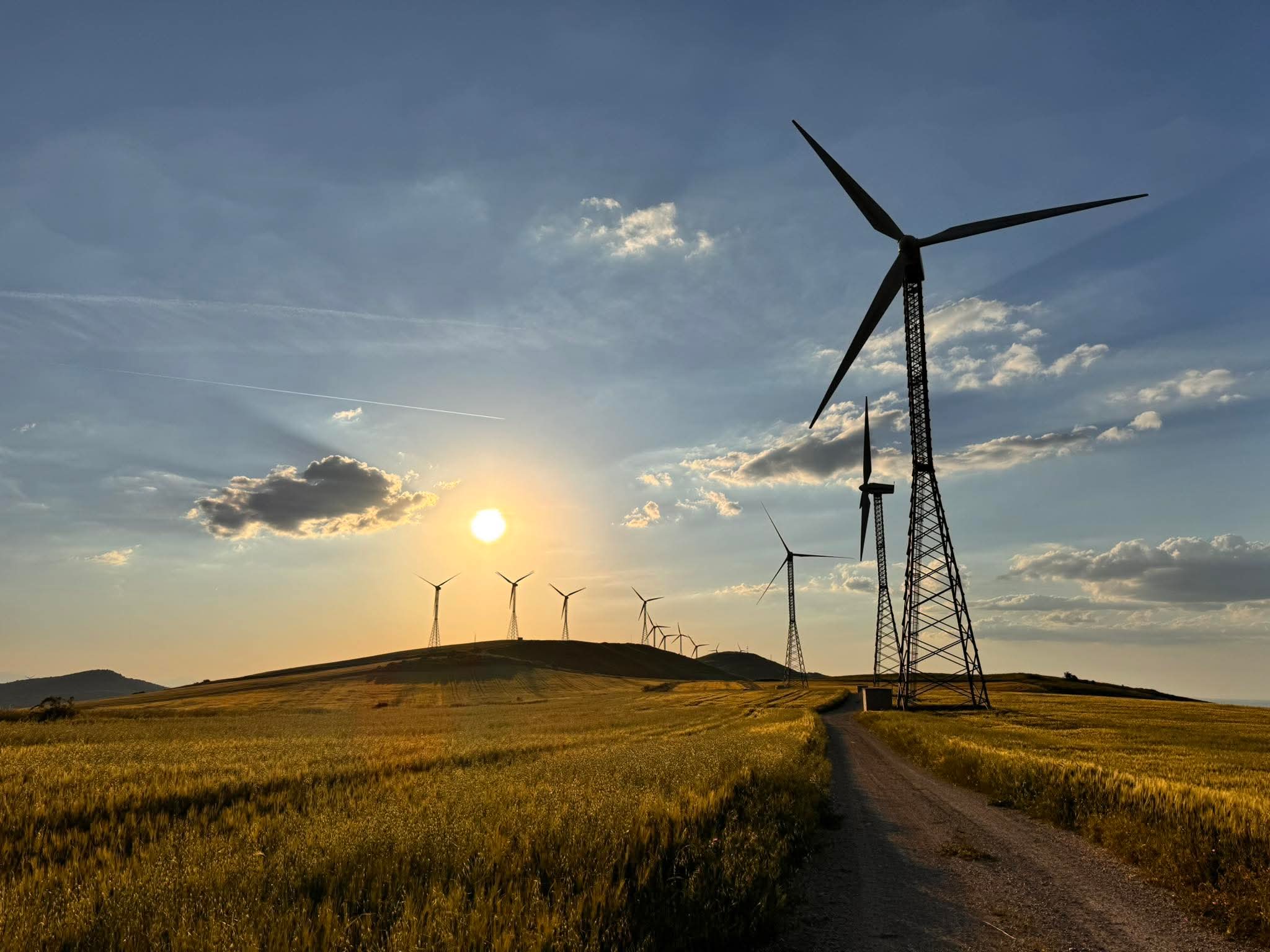 Wind consultancy and assessment