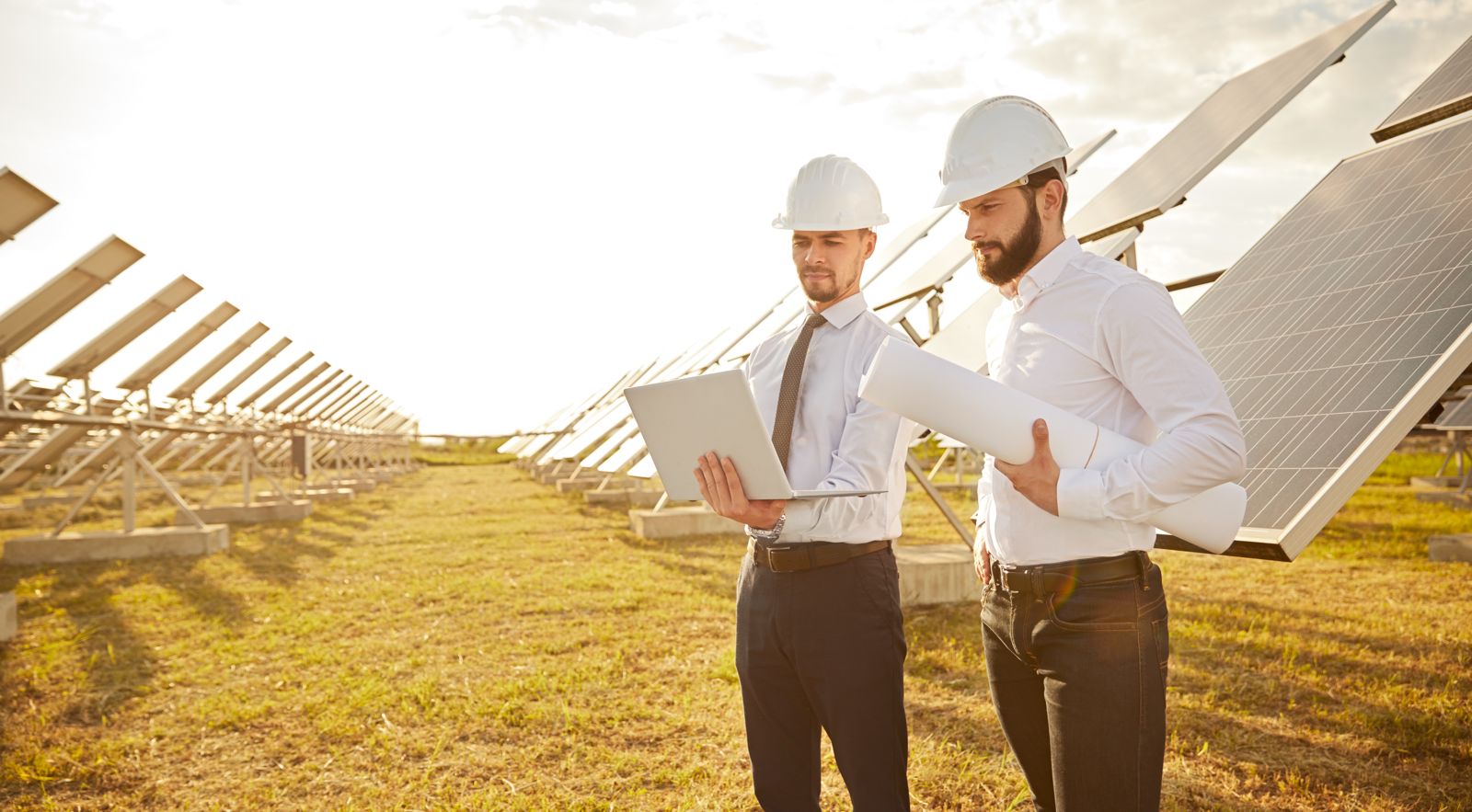 Strategic renewable energy advisory